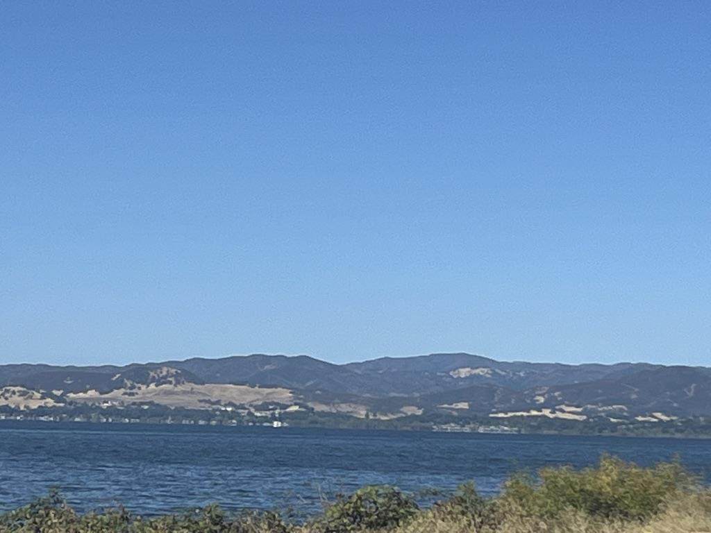 6340 Selby Rd - Photo 1