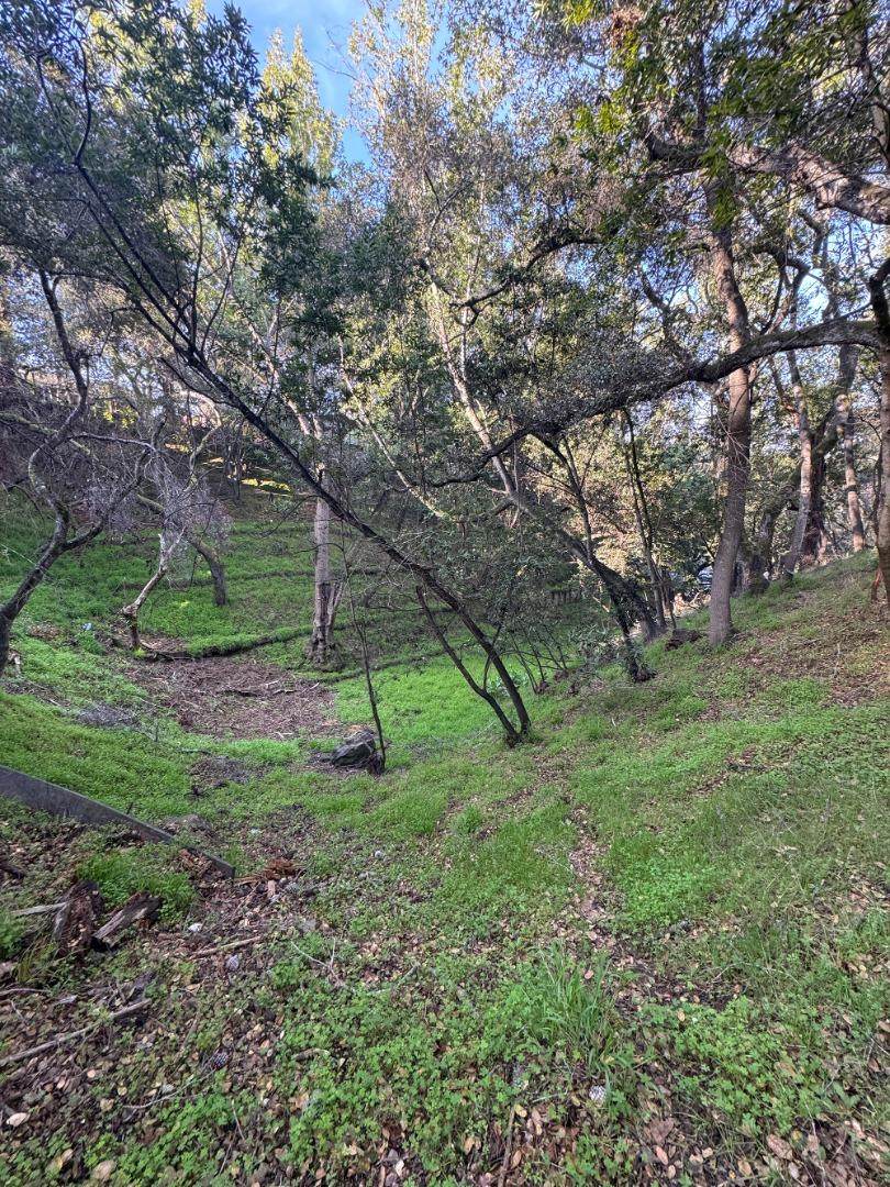 0 Parrott Dr - Photo 1