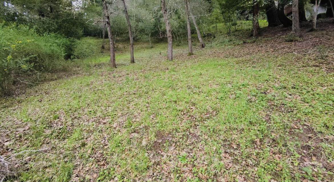 15971 Forest Hill Dr - Photo 1