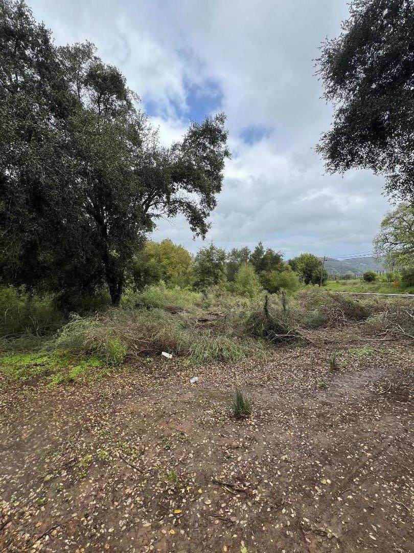 18445 Black Rd - Photo 1