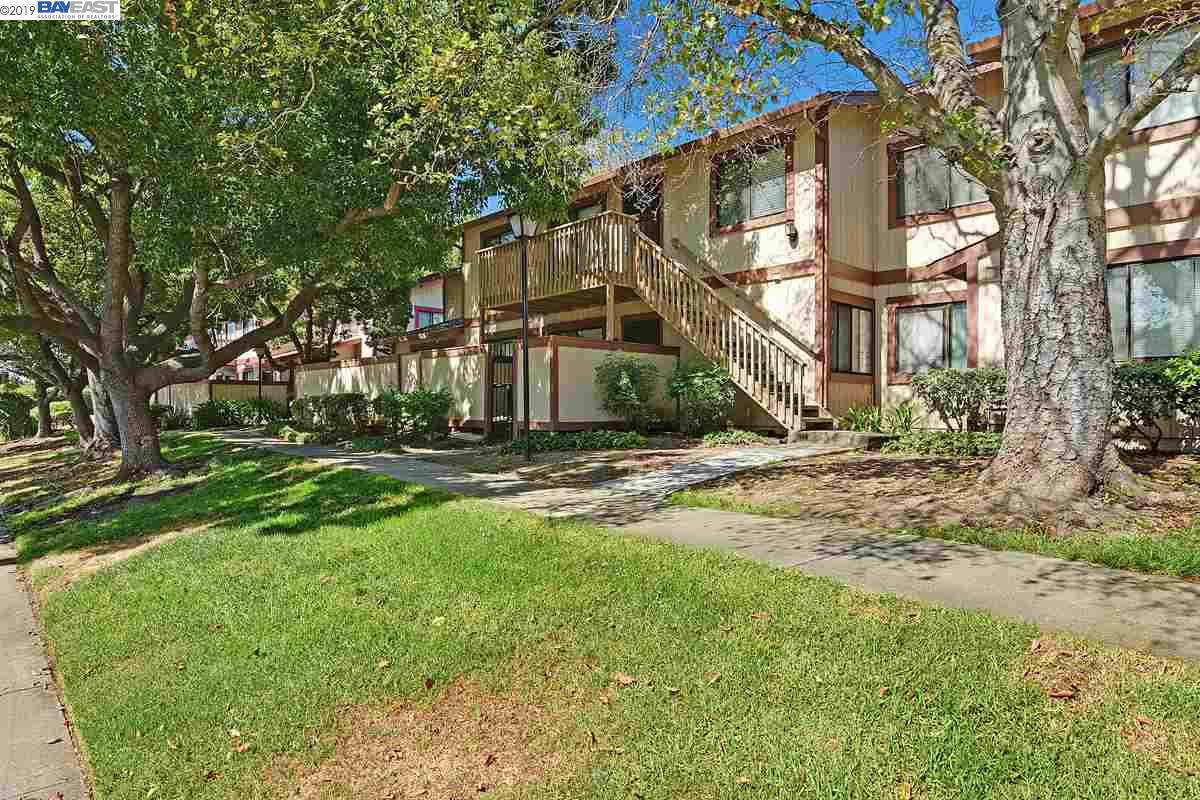177 Aurora Plz - Photo 1