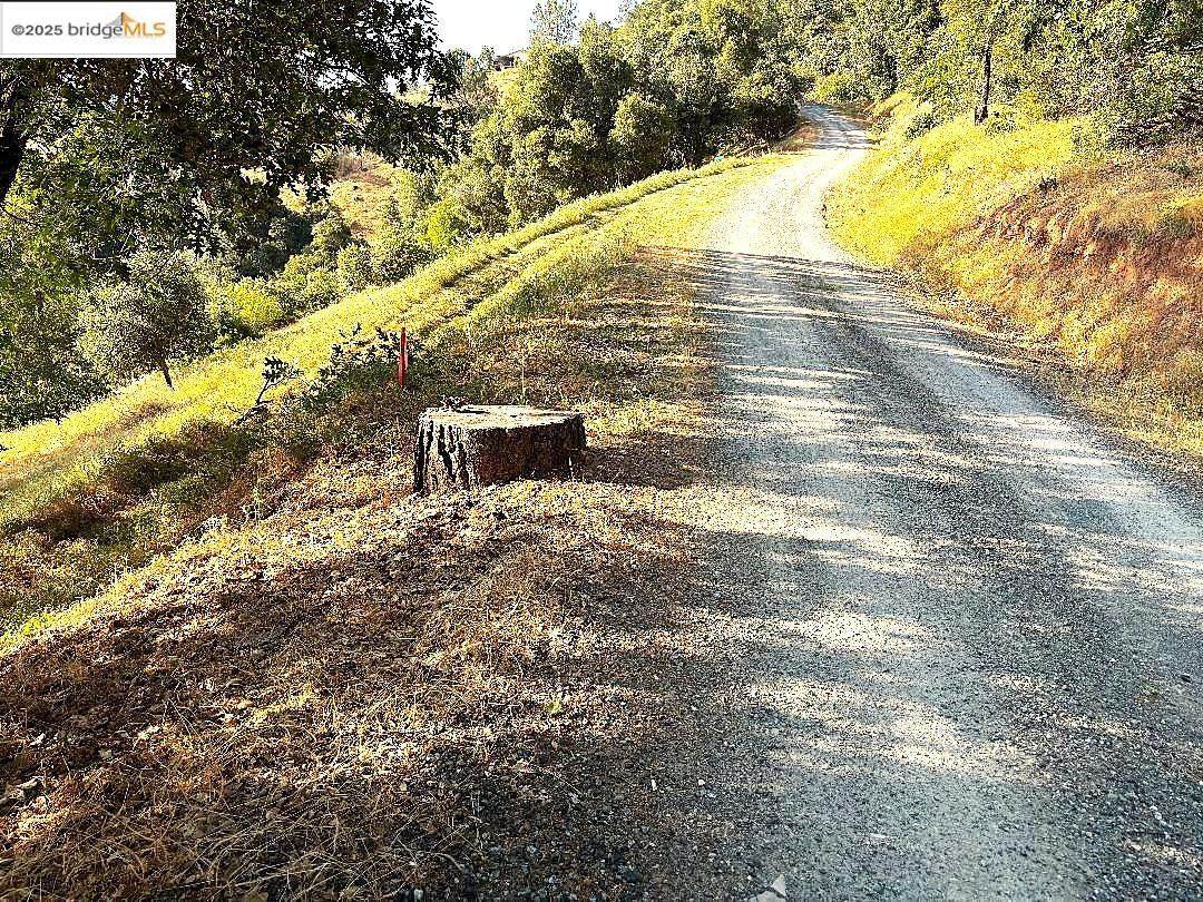 Parcel Blue Oak Gulch Rd #27/26 - Photo 1