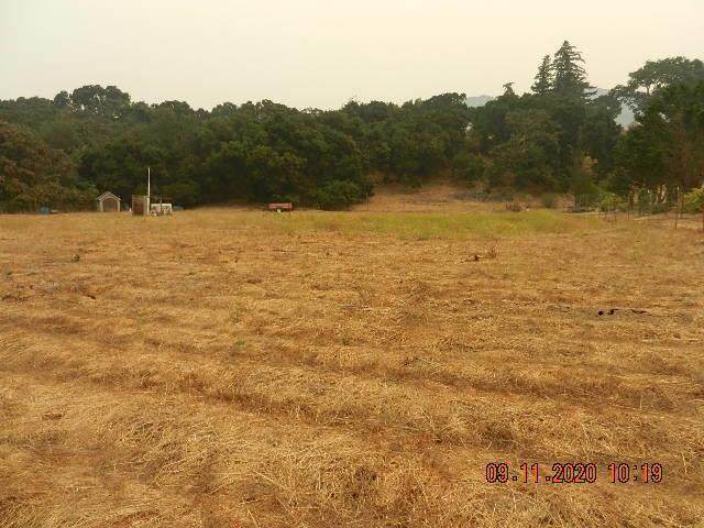 465 Carmel Valley Rd - Photo 1