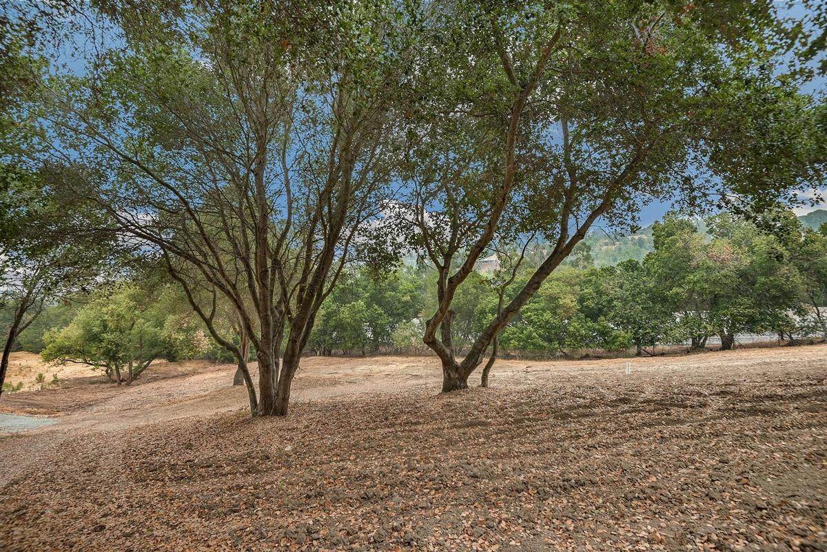 27360 Elena Rd - Photo 1