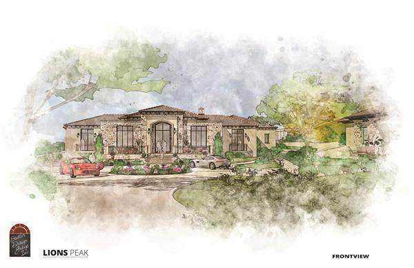 1322 Lions Peak Ln - Photo 1