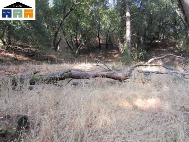 00 Morgan Territory Rd - Photo 1