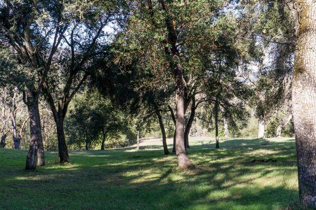 20 Arroyo Sequoia - Photo 1