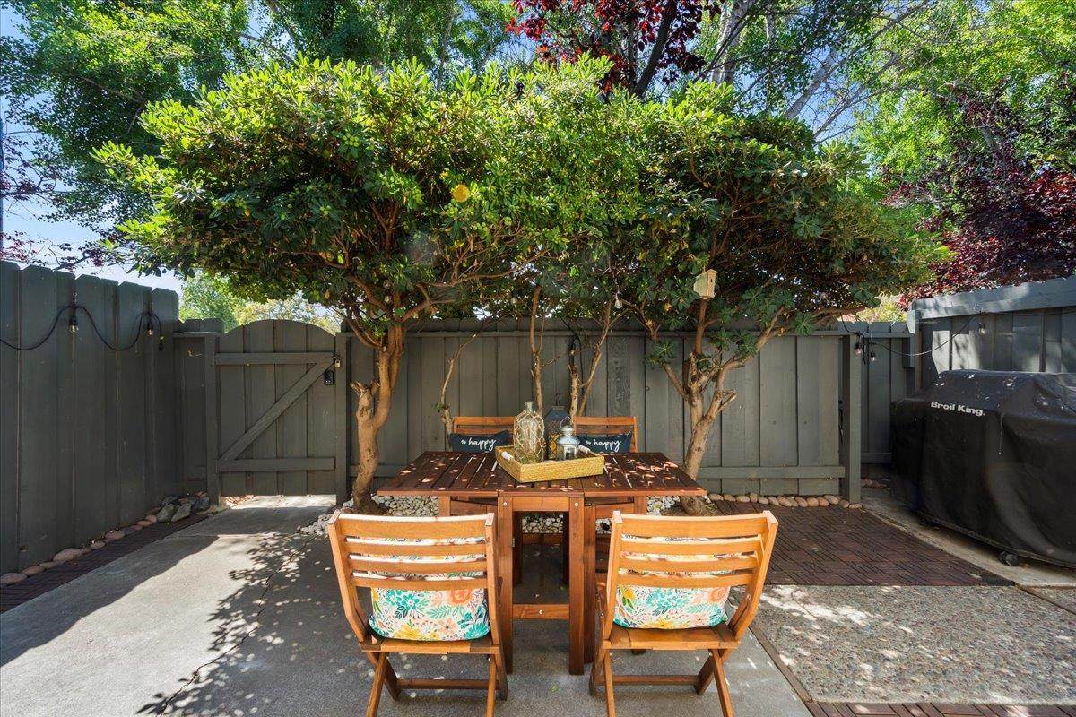 4829 Verbena Way - Photo 1