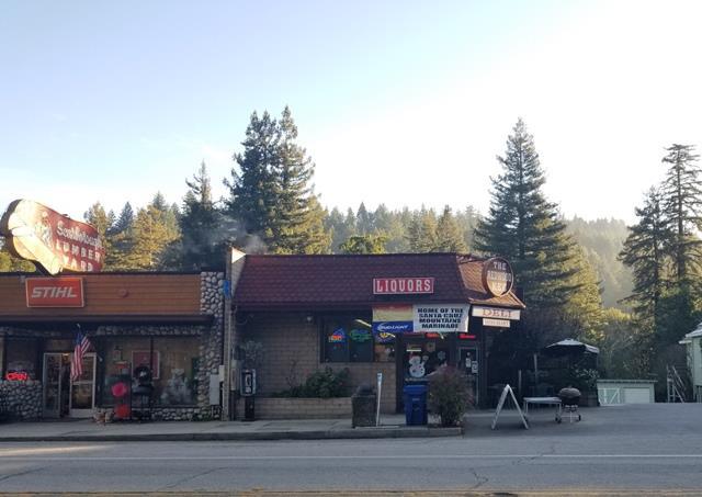12980 Highway 9 - Photo 1