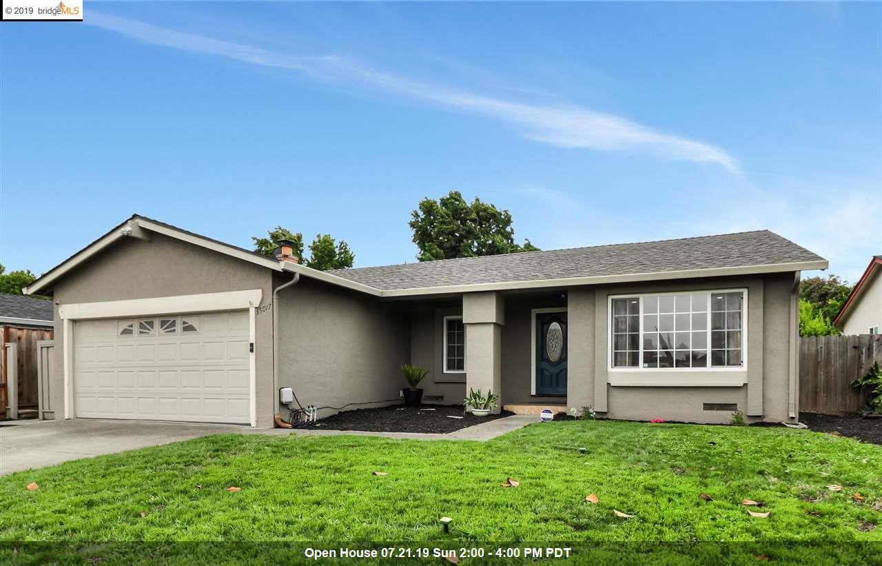 35017 Hollyhock St - Photo 1