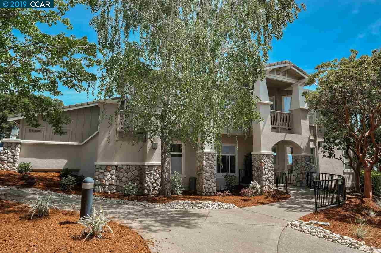 517 Spotted Owl Ct - Photo 1