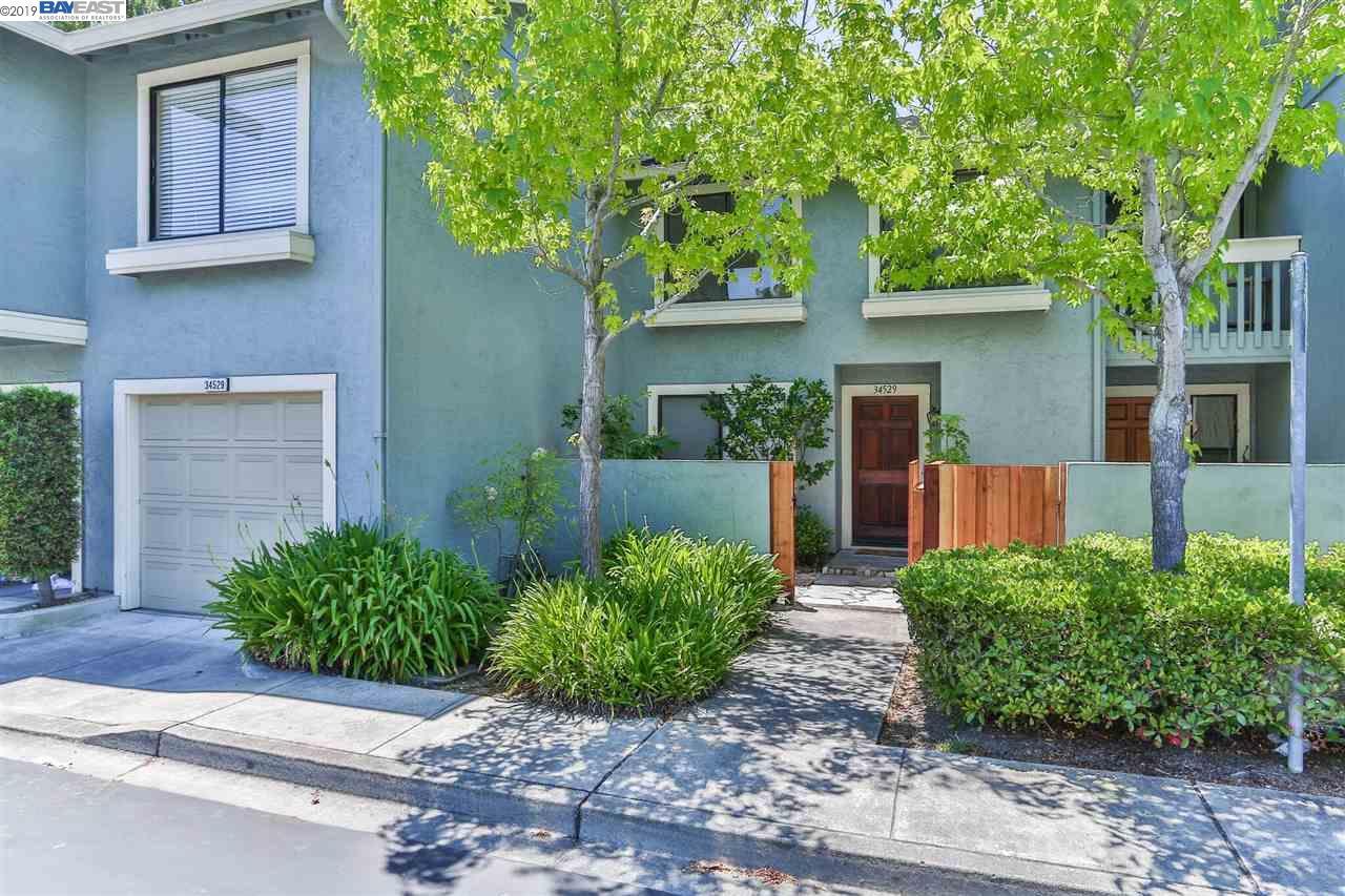 34529 Pueblo Ter - Photo 1