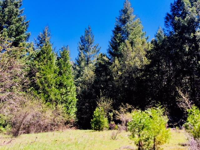 5340 String Canyon Rd - Photo 1
