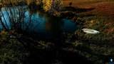 0 Buckthorn Trl - Photo 12