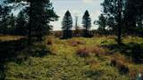 0 Buckthorn Trl - Photo 16