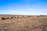 46126 Sd - 38 Hwy Highway - Photo 57