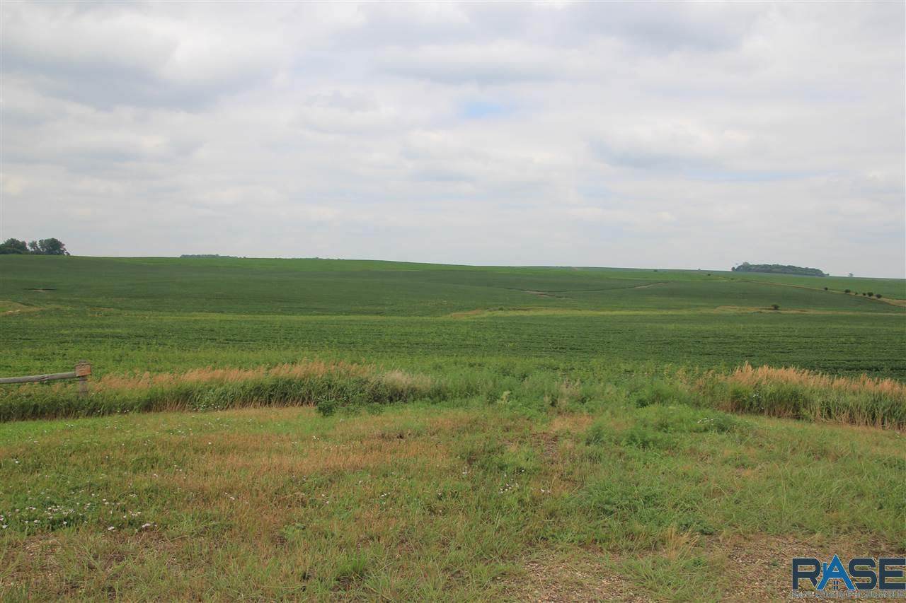 Tbd On Hwy 19 (455Th Ave) Ave - Photo 1