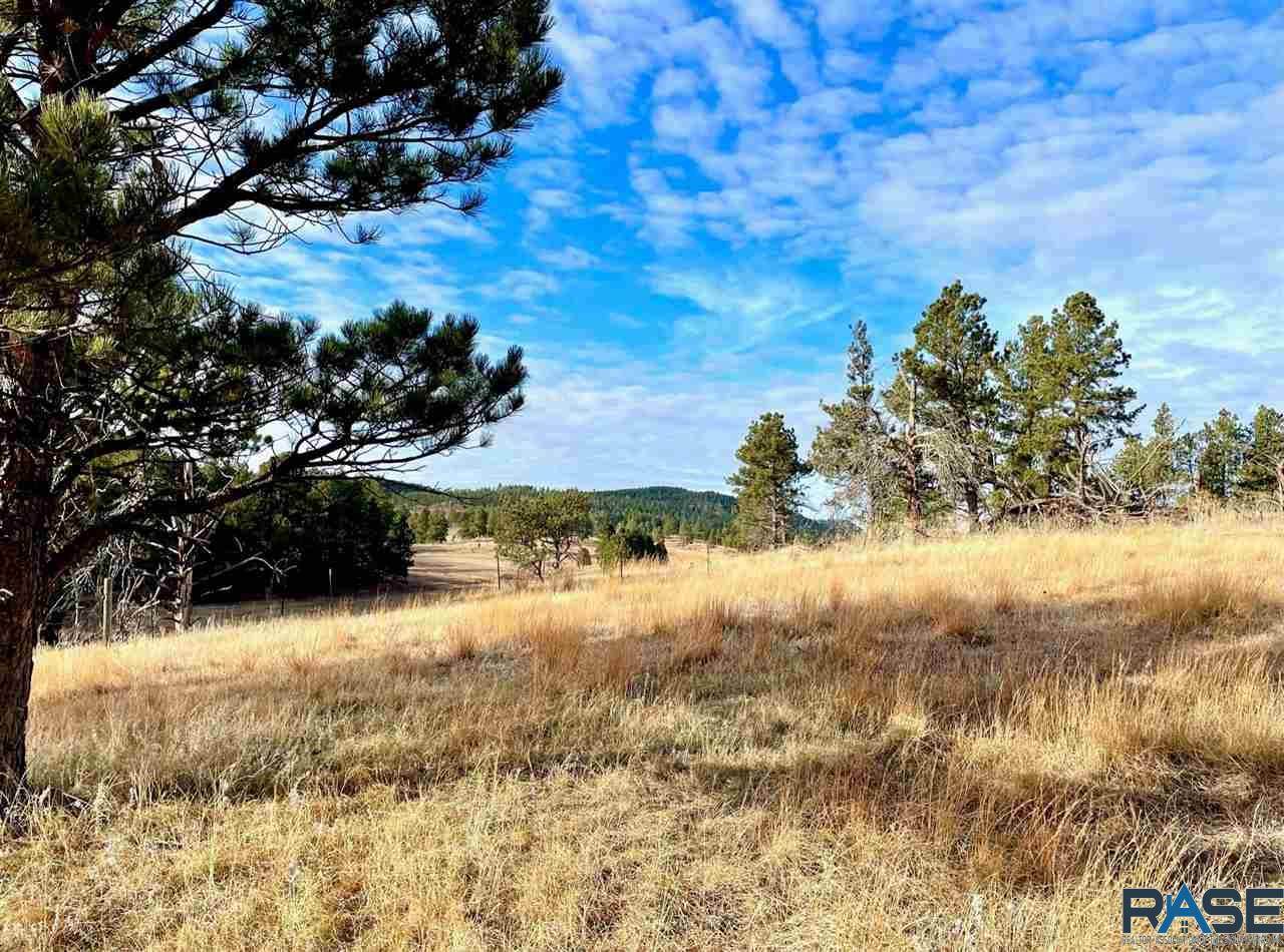 0 Tbd Shirttail Canyon Road - Photo 1