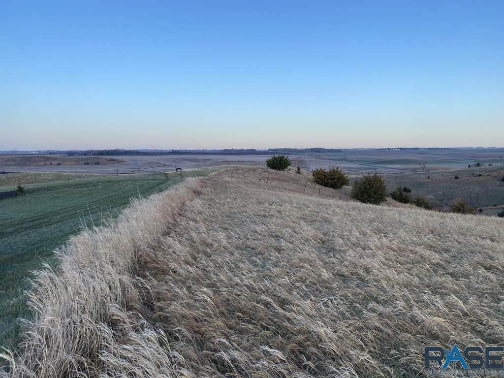 45288 Unique Ct - Photo 1