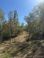 Tract 12 State Road 156 - Photo 15
