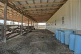 2916 Cottonwood Drive - Photo 51