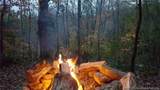 2140 Morgan Road - Photo 6