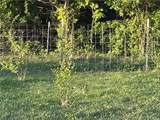 2350 Whiskey Hollow Road - Photo 33