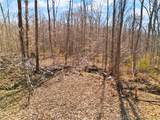 6 +/- AC Pedora School Road - Photo 26