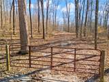 6 +/- AC Pedora School Road - Photo 31