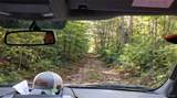 0 Rosewood Road - Photo 4