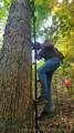 0 Rosewood Road - Photo 6