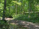  Goat Hollow Road - Photo 11