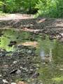 Goat Hollow Road - Photo 12
