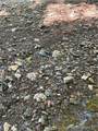  Goat Hollow Road - Photo 15