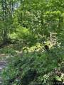  Goat Hollow Road - Photo 16