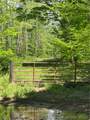  Goat Hollow Road - Photo 17