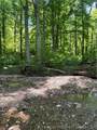  Goat Hollow Road - Photo 6