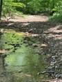  Goat Hollow Road - Photo 8
