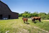 4536 Richard Cart Road - Photo 43