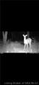 1000 1000 Road - Photo 38