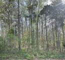  Eagle Point Drive - Photo 3