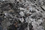 1000 1000 Road - Photo 21