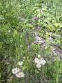 1000 1000 Road - Photo 22