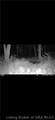 1000 1000 Road - Photo 30