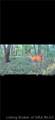 1000 1000 Road - Photo 32