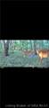 1000 1000 Road - Photo 33
