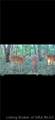 1000 1000 Road - Photo 34