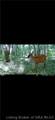 1000 1000 Road - Photo 35