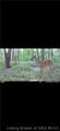 1000 1000 Road - Photo 37