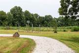 2306 Mount Sterling Road - Photo 8